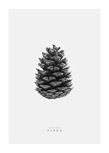Poster Winter Botany No2
