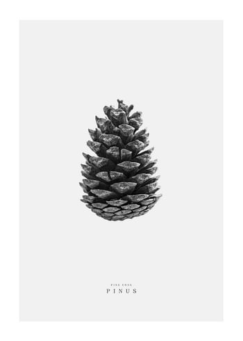 Poster Winter Botany No2