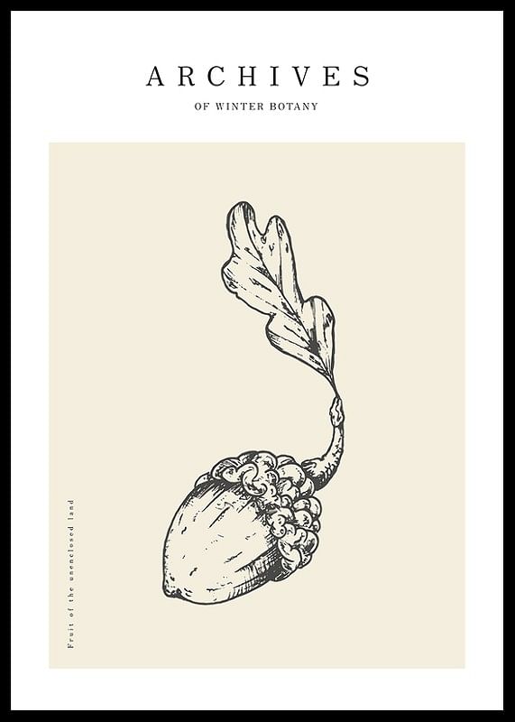 Winter Botany No1-12