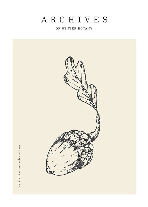 Detailed illustration of acorn with leaves on beige background-12