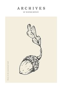 Winter Botany No1-1