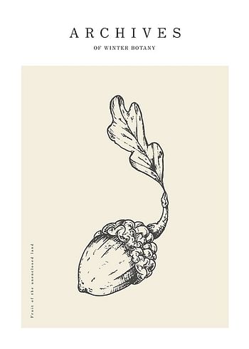 Plakat Winter Botany No1