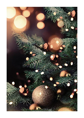 Poster Christmas Tree And Lights