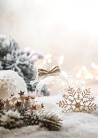 Photographic Christmas decorations in light beige and white tones-7