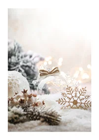 Photographic Christmas decorations in light beige and white tones-1