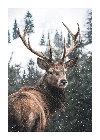 Poster Winter Landscape Deer