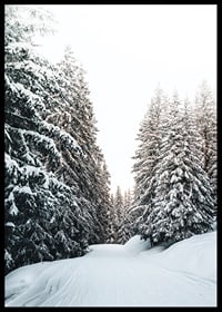 Fotografiskt vinterlandskap med snötäckt väg och granar-6