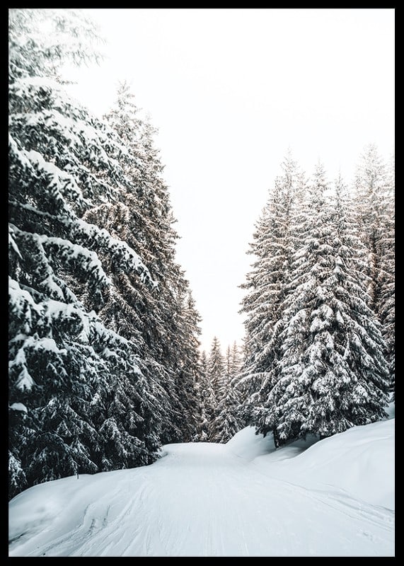 Fotografiskt vinterlandskap med snötäckt väg och granar-12