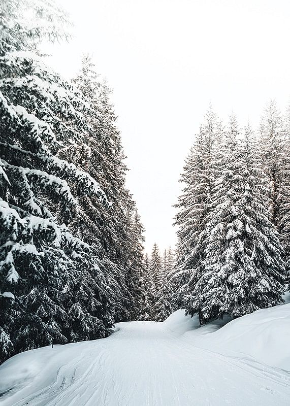 Snow Covered Road-12