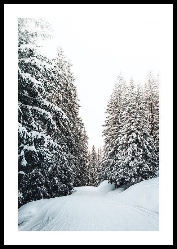 Snow Covered Road-12