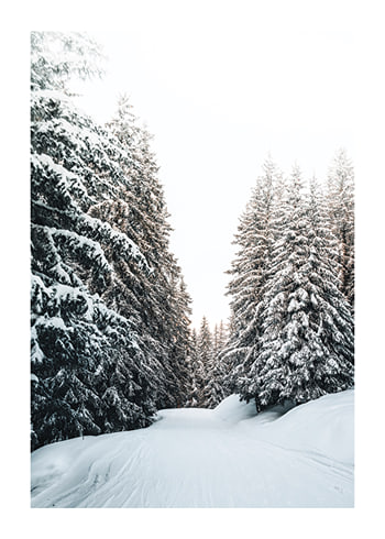 Affiche Snow Covered Road