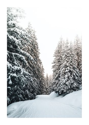 Plakat Snow Covered Road