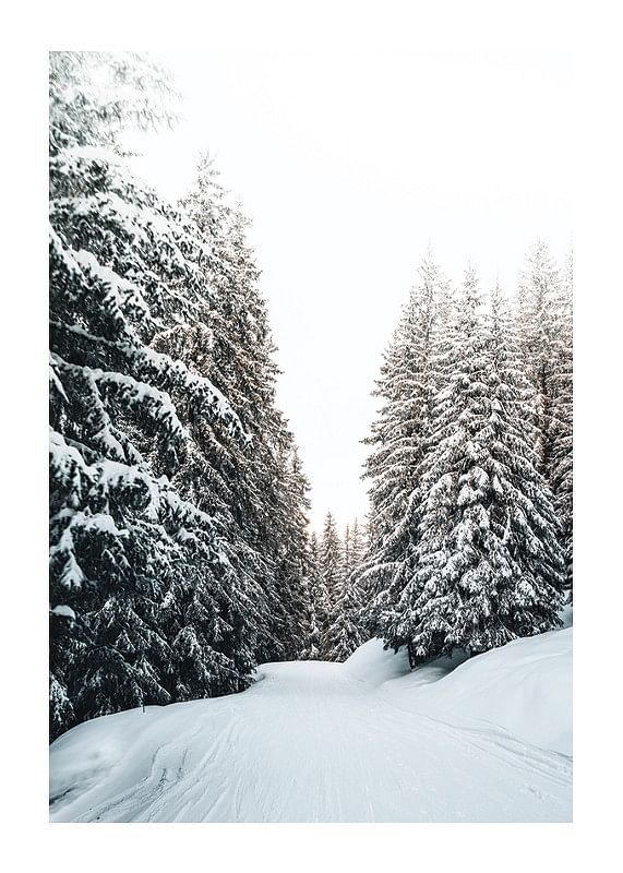 Snow Covered Road-12