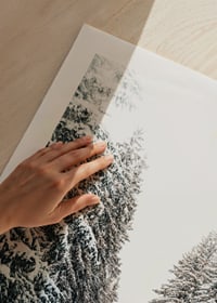 Fotografiskt vinterlandskap med snötäckt väg och granar-9