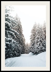 Fotografiskt vinterlandskap med snötäckt väg och granar-2