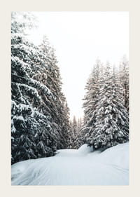 Fotografická zimná krajina so zasneženou cestou a jedľami-3
