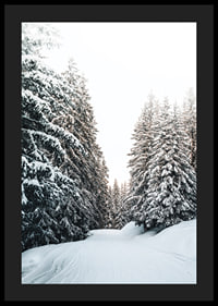 Fotografiskt vinterlandskap med snötäckt väg och granar-4