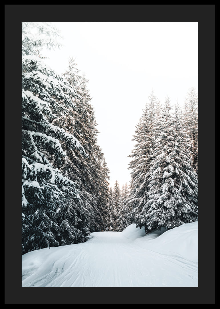 Fotografická zimná krajina so zasneženou cestou a jedľami-12