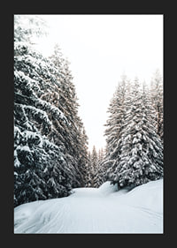 Fotografiskt vinterlandskap med snötäckt väg och granar-5