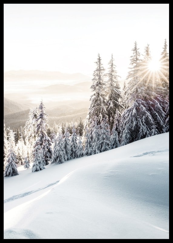 Snow-covered fir trees in backlight on a mountain slope in morning light-12
