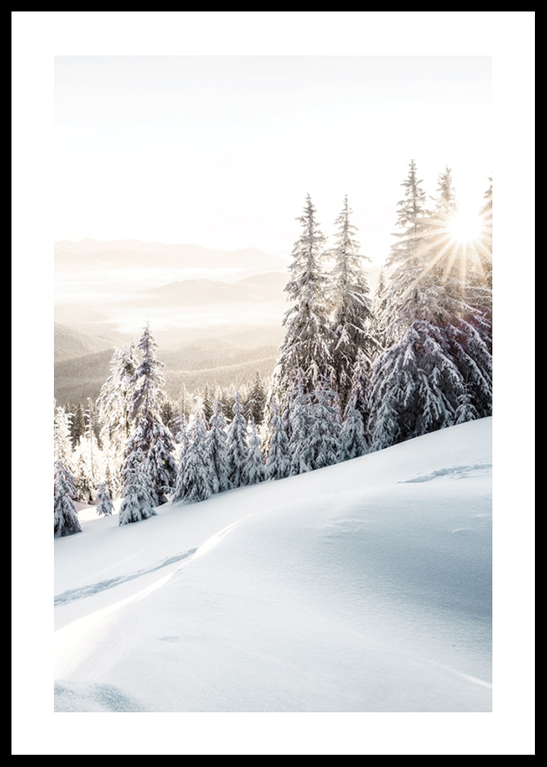 Snow-covered fir trees in backlight on a mountain slope in morning light-12