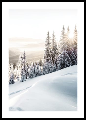 Poster Winter Mountain Morning