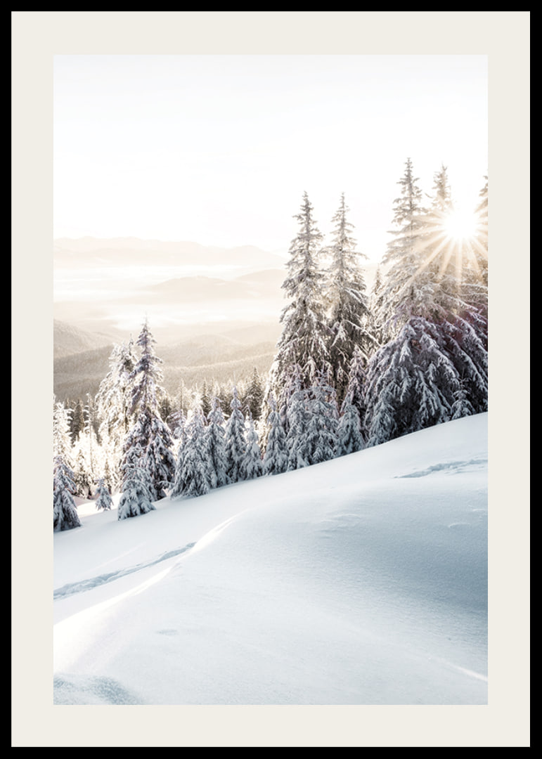 Snow-covered fir trees in backlight on a mountain slope in morning light-12