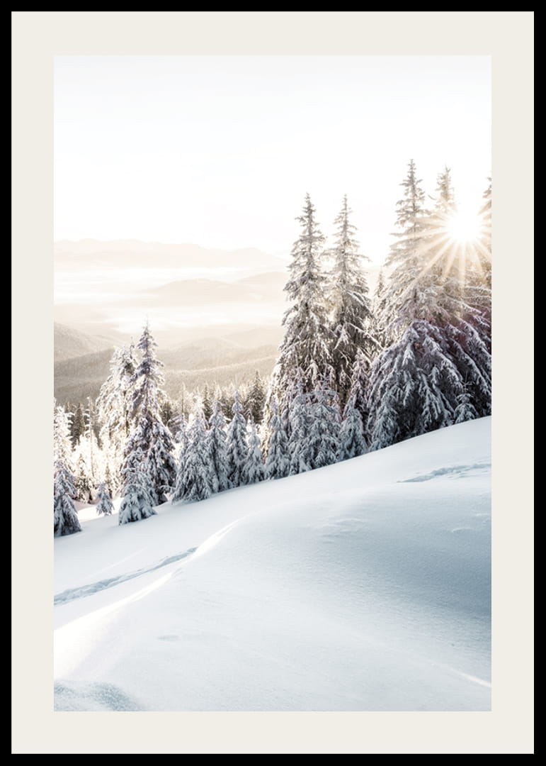 Snötäckta granar i motljus på bergssluttning i morgonljus-12