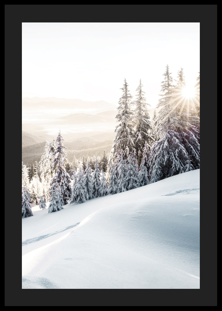 Snow-covered fir trees in backlight on a mountain slope in morning light-12