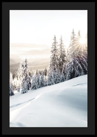 Snötäckta granar i motljus på bergssluttning i morgonljus-4