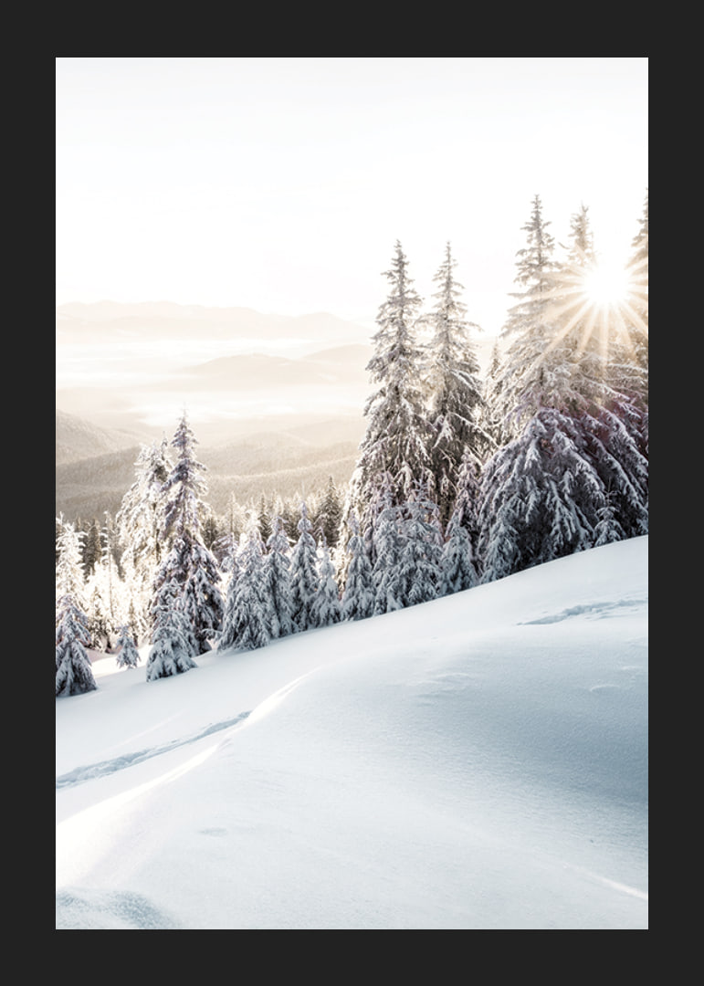 Snow-covered fir trees in backlight on a mountain slope in morning light-12