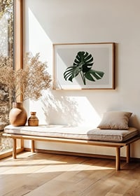 Primo piano fotografico delle foglie di monstera su sfondo chiaro-8
