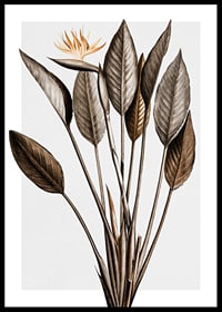 Botanisk illustration av orange paradisfågelblomma och bruna blad-0