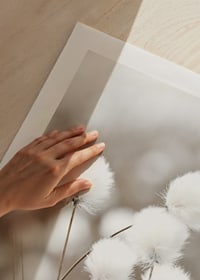 Fotografi av vitt bomullsgräs med suddig beige bakgrund-9