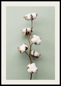 Zdjęcie patyczków kosmetycznych na jasnozielonym tle-2