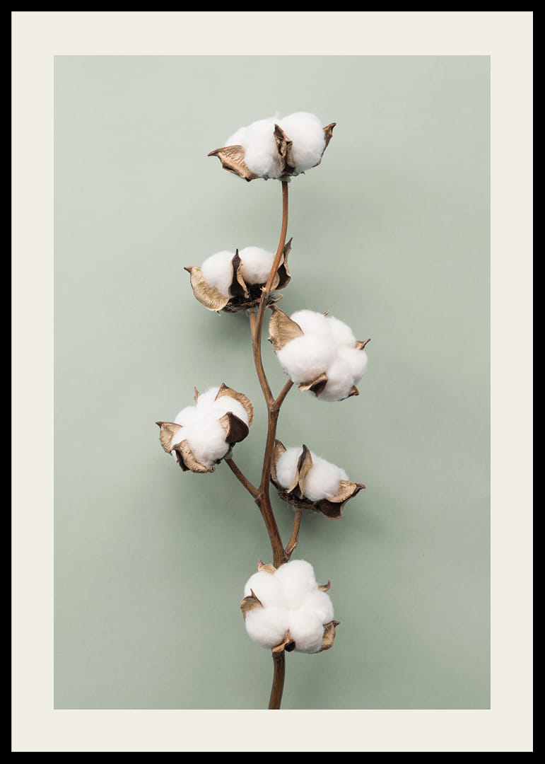 Zdjęcie patyczków kosmetycznych na jasnozielonym tle-12