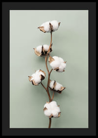 Zdjęcie patyczków kosmetycznych na jasnozielonym tle-4