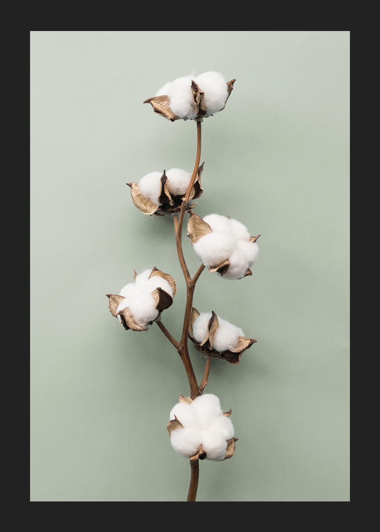 Zdjęcie patyczków kosmetycznych na jasnozielonym tle-12