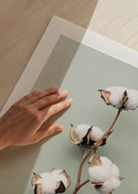 Vatos tamponų nuotrauka šviesiai žaliame fone-9