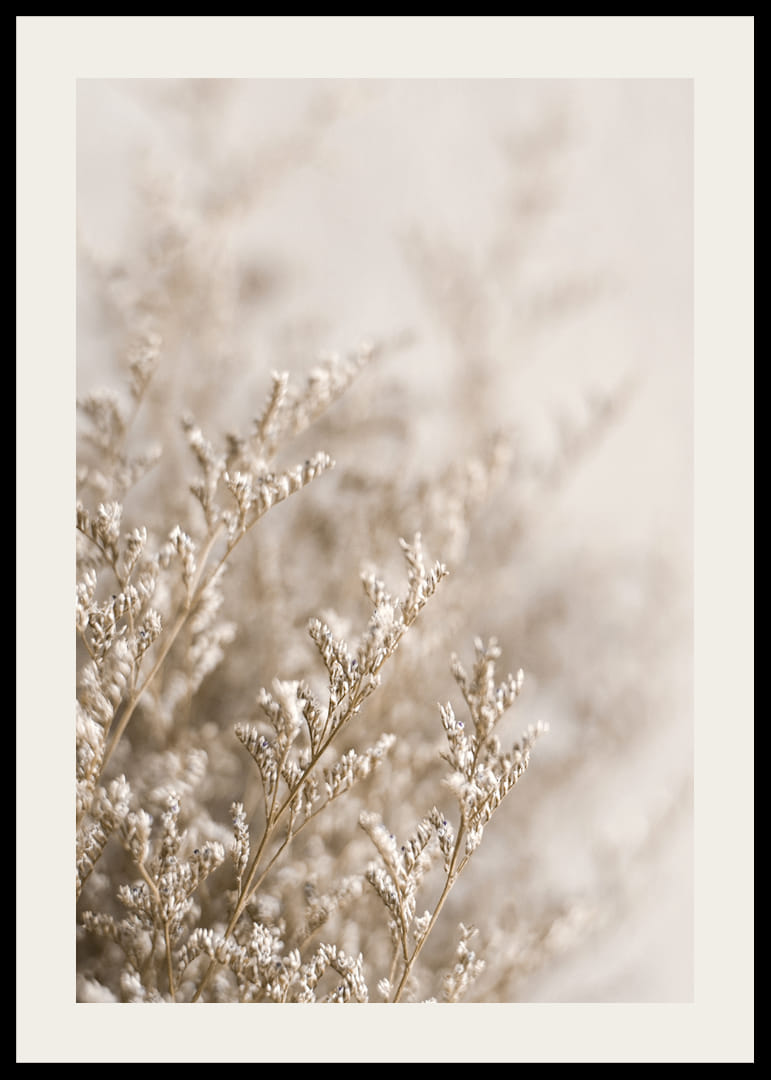 Gros plan de plantes séchées dans des tons beiges sur fond flou-12