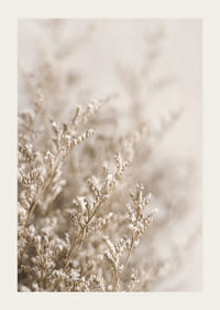 Gros plan de plantes séchées dans des tons beiges sur fond flou-3