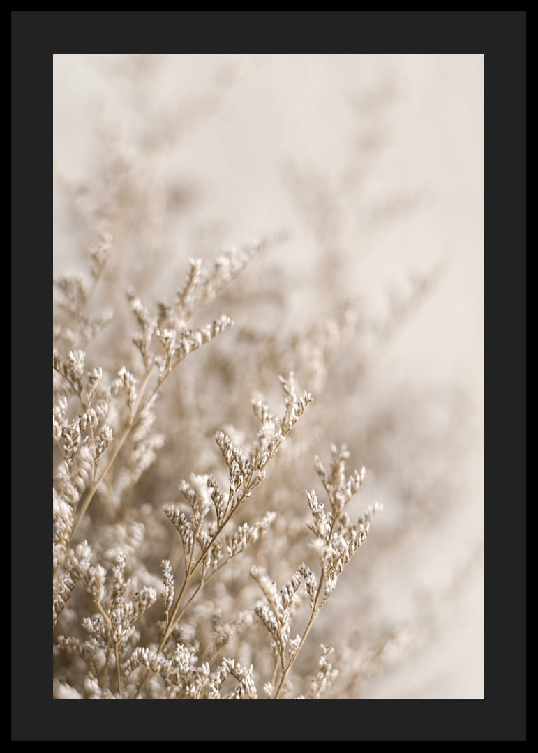 Gros plan de plantes séchées dans des tons beiges sur fond flou-12