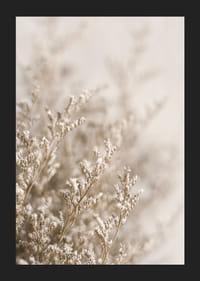 Gros plan de plantes séchées dans des tons beiges sur fond flou-5