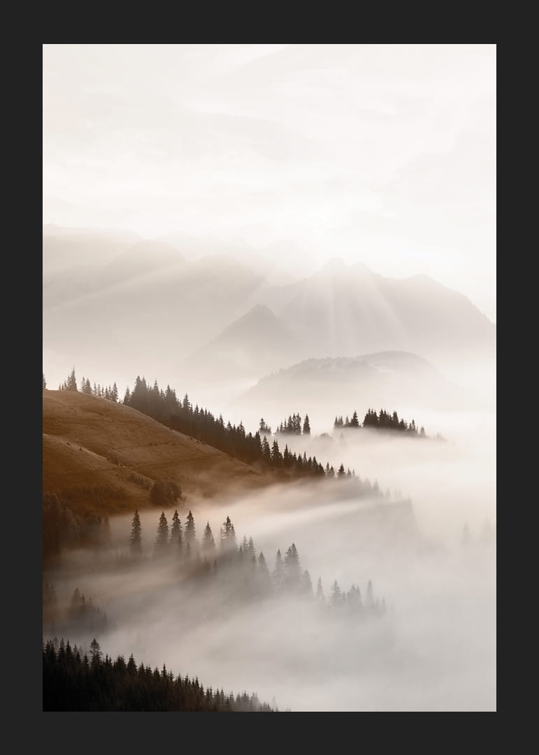 Dimtäckt dal med höstfärgade kullar och granar, fotografi-12