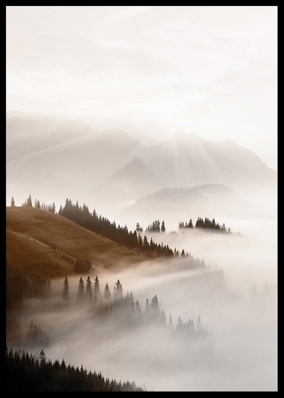 Misty Valley-12