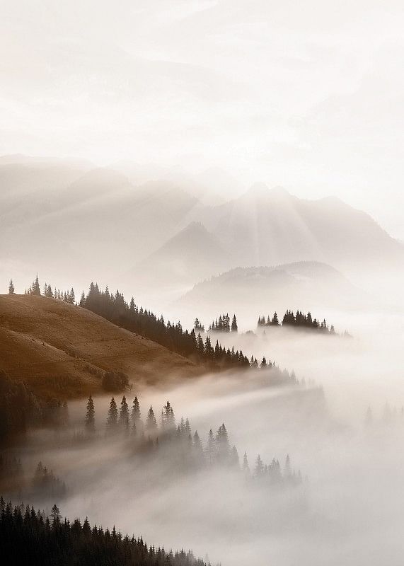 Misty Valley-12