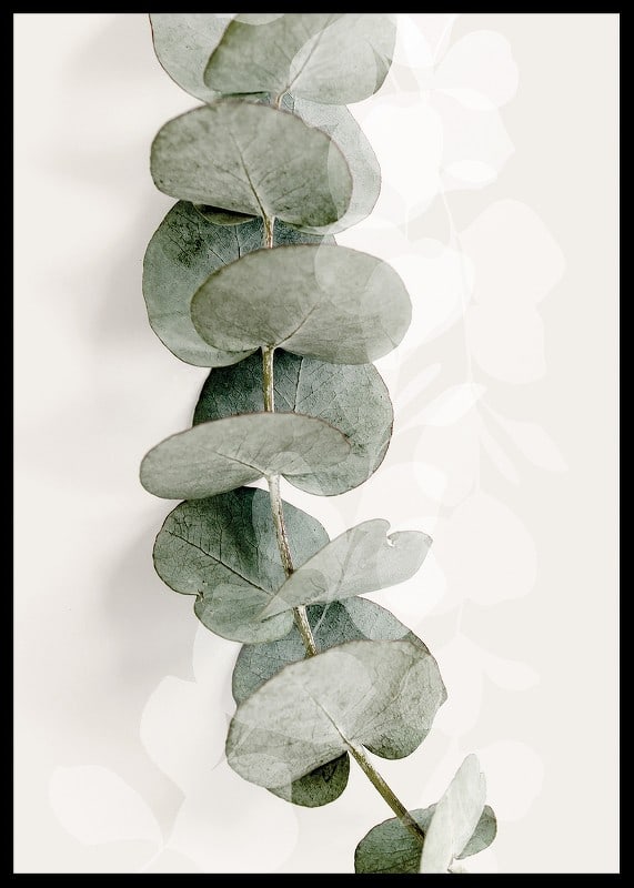 Close-up of eucalyptus twig in muted green tones-12