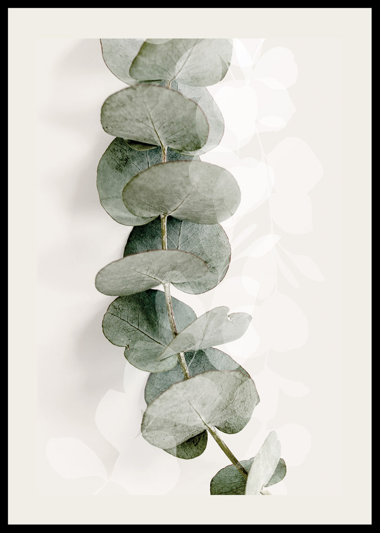 Close-up of eucalyptus twig in muted green tones-12