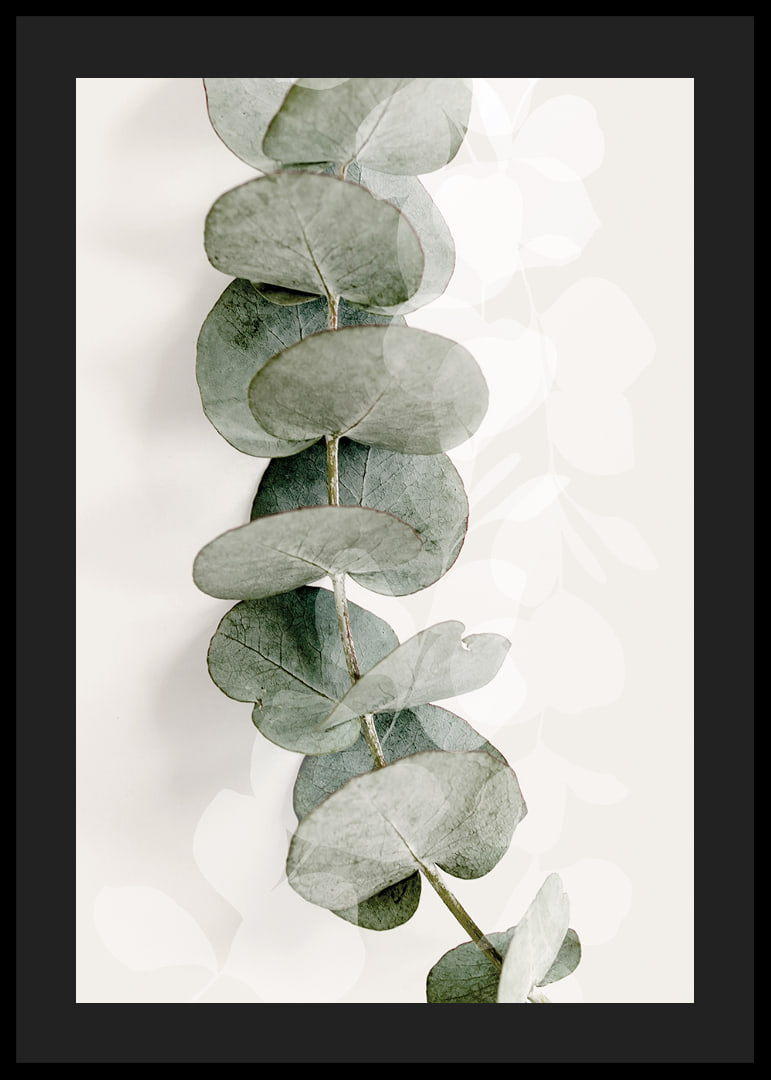 Close-up of eucalyptus twig in muted green tones-12