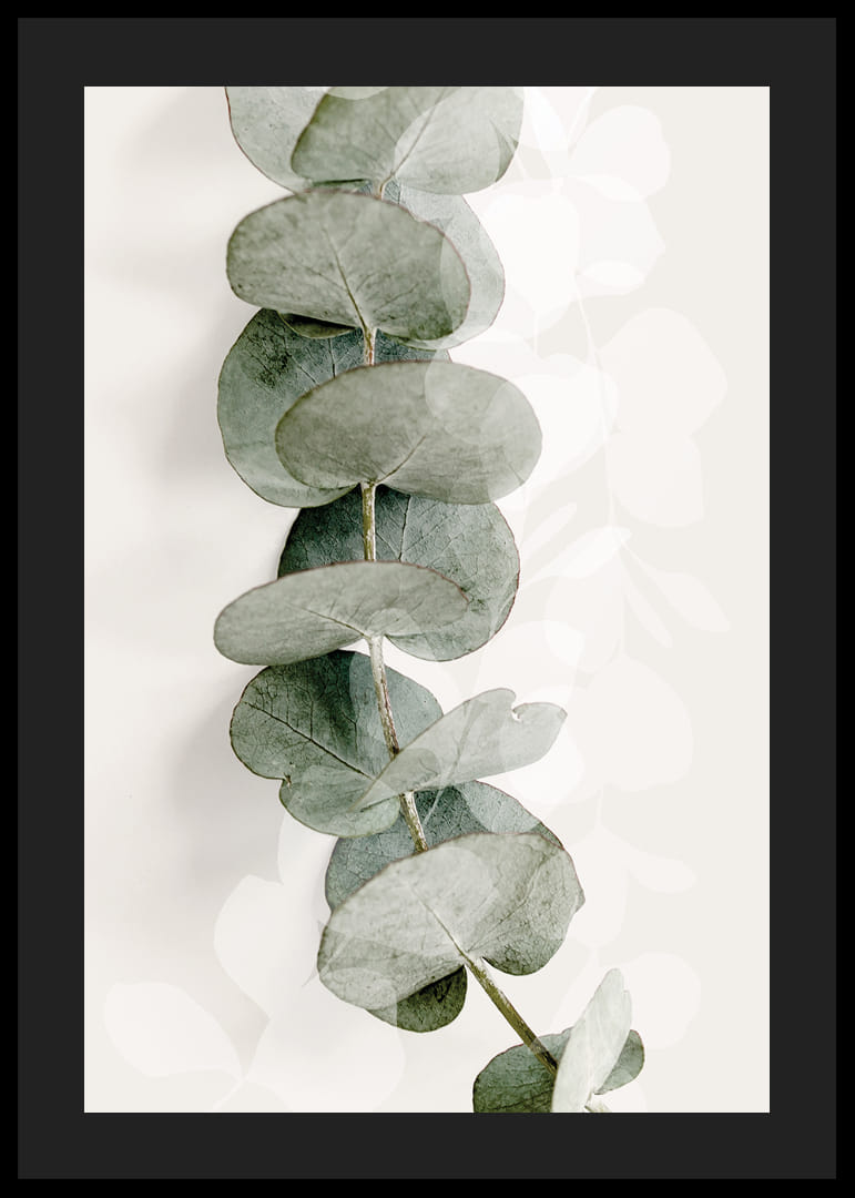 Close-up of eucalyptus twig in muted green tones-12